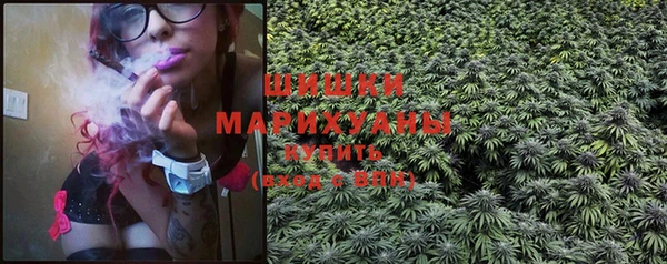 индика Ладушкин