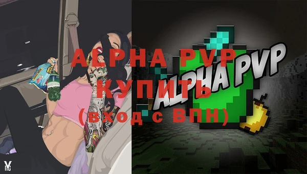 индика Ладушкин