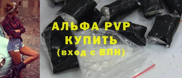 индика Ладушкин