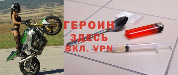 индика Ладушкин