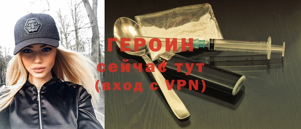 индика Ладушкин