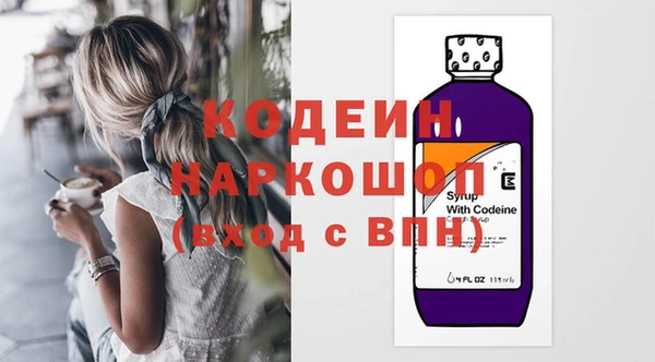 индика Ладушкин