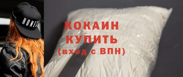индика Ладушкин