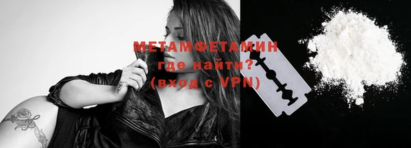 индика Ладушкин