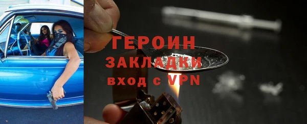 индика Ладушкин