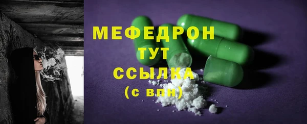 индика Ладушкин