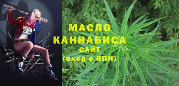 индика Ладушкин