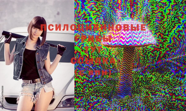 индика Ладушкин