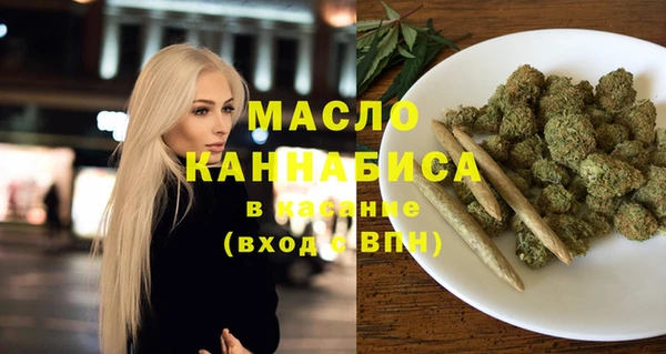 индика Ладушкин