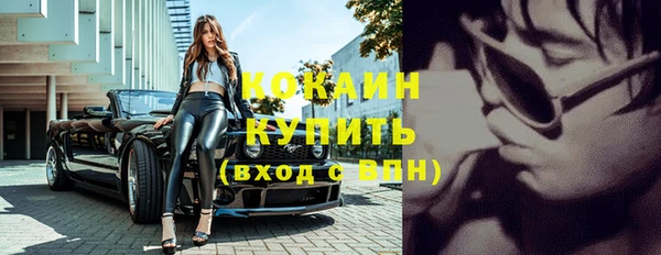 индика Ладушкин